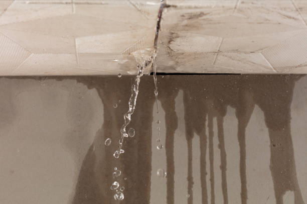 Professional Water Damage Repair technician working in Crawford, TX